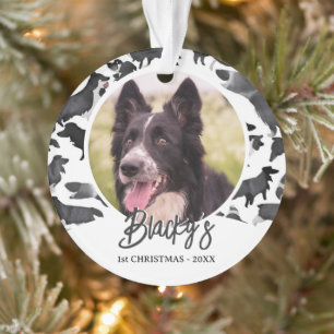 Motif Border Collie Nom Photo 1er Noël