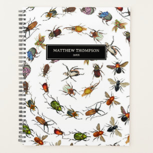 Motif coloré de bugs et de coléoptères Vintages