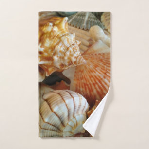 Motif de coquillage