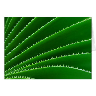 Motif de feuille verte Spiky