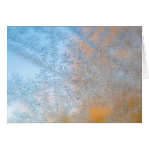 Motif de givre délicat, Wisconsin