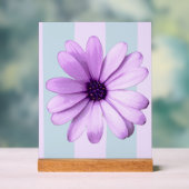 motif de marguerite rayée de bleu et de violet (Neutre)