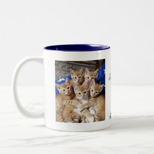 Motif de photo de chats, Mug (Gauche)