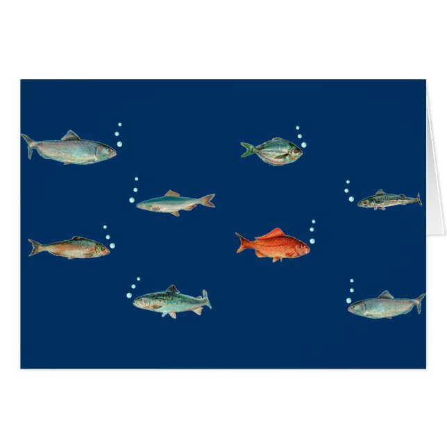 Motif de poissons (Devant horizontal)