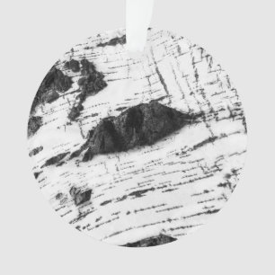 Motif d'écorce de bouleau