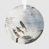 Motif d'écorce de bouleau (dos)