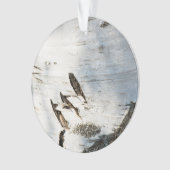 Motif d'écorce de bouleau (devant)