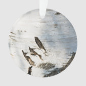 Motif d'écorce de bouleau (devant)