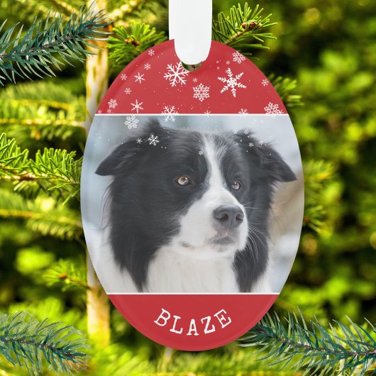 Motif flocon de neige photo et nom de chien rouge