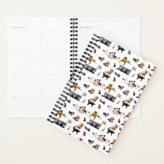 Motif mignon avec des photos de Chats et chatons (Devant avec enveloppe)