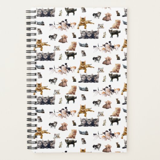 Motif mignon avec des photos de Chats et chatons (Devant)