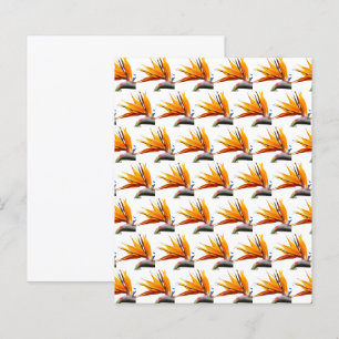 Motif oiseau de paradis orange sur papier blanc