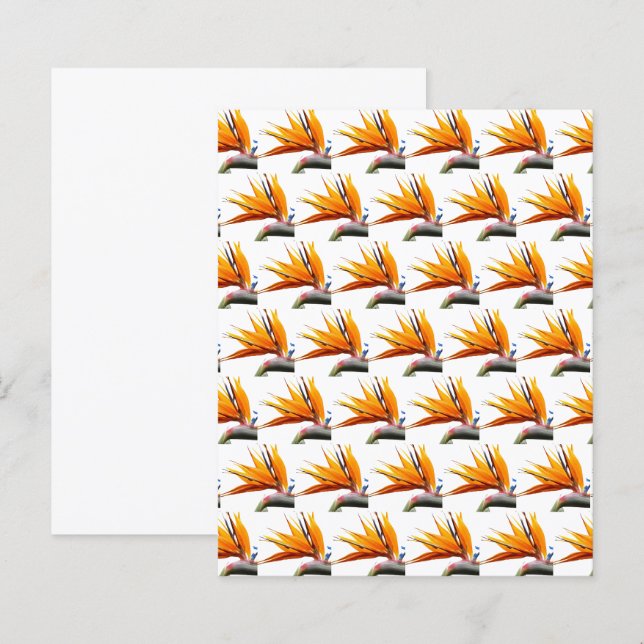 Motif oiseau de paradis orange sur papier blanc (Devant / Derrière)