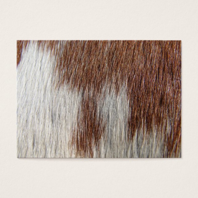Motif Paint Horse (Devant)
