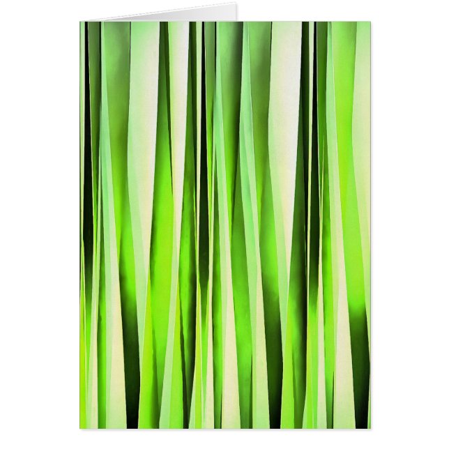 Motif rayé à feuillage persistant éternel (Devant)