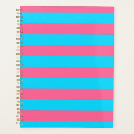 Motif rayures rose bleu (Devant)