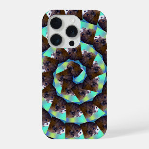 Motif spirale de cochons d'Inde,