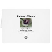 Motifs de la nature (Dos Horizontal)