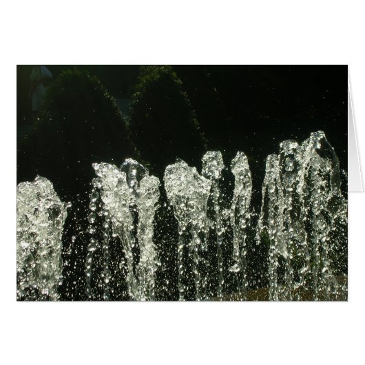 Motifs de la nature (Devant horizontal)