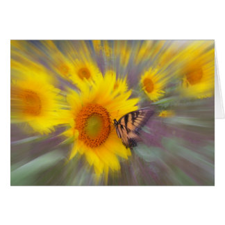 Motion, CARD