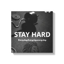 motivatie