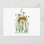 Motivatie citaat voor muis bevestigen briefkaart (Voorkant)