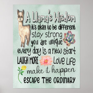 Motivatie citaten van een Llama - 16x20 Poster