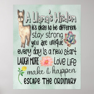 Motivatie citaten van een Llama - 16x20 Poster