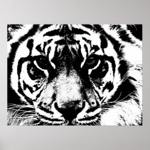 Motivatie Courage Tiger Poster afdrukken