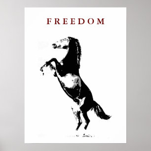 Motivatie fokpaard Pop Art Poster