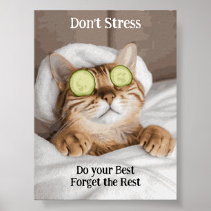 Motivatie Funny Inspirerend Cat Poster