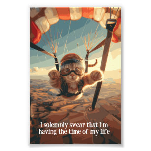 Motivatie Funny Inspirerend Cat Poster