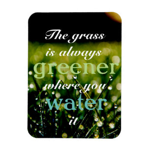 Motivatie  Grass is groener waar u het water geeft Magneet
