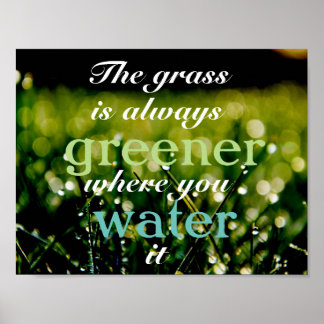 Motivatie| Grass is groener waar u het water geeft Poster