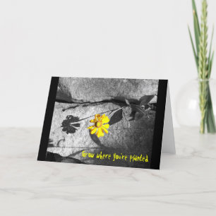 Motivatie "Grow waar je bent geplant" Kaart