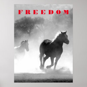 Motivatie Inspirerend  loopwerk van paarden Poster