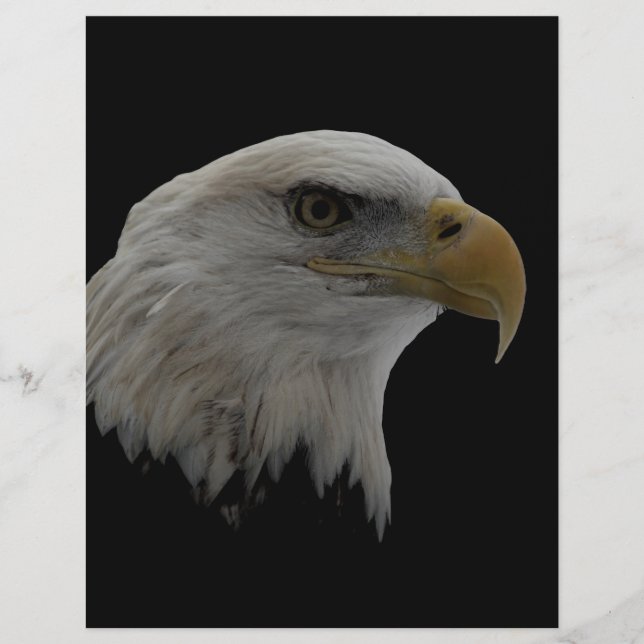 Motivatie leider van de Amerikaanse Eagle (Voorkant)