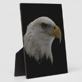 Motivatie leider van de Amerikaanse Eagle Fotoplaat (Zijkant)