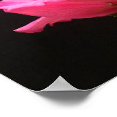 Motivatie Poster (Hoek)