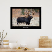 Motivatie Poster voor Moose and Squirrel "TEAMWORK (Keuken)