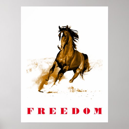 Motivatie Poster voor paarden (Voorkant)