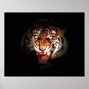 Motivatie roeitijger in schaduwafdrukken in Poster