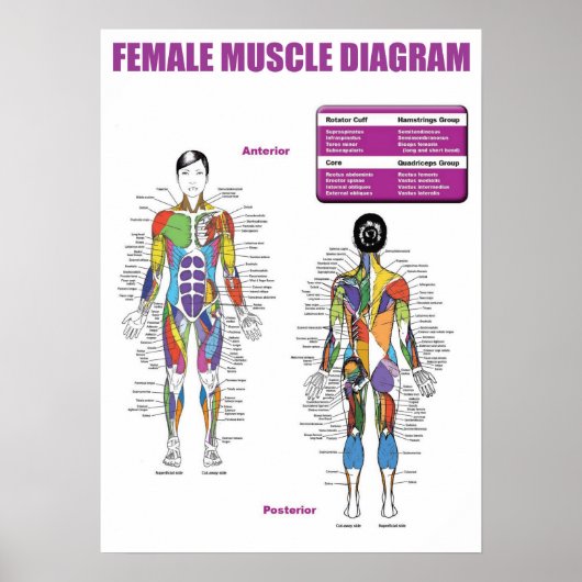 Motivatie werkresultaat poster (Voorkant)