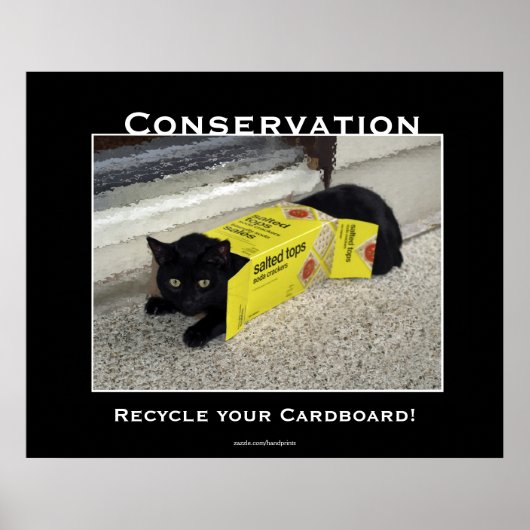 Motivatie zwarte kat-Posters Poster (Voorkant)