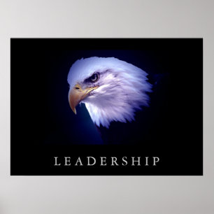 Motivation Leadership Eagle Eyes Poster