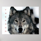 Motivational Freedom Courage Loup Poster Imprimer (Devant)