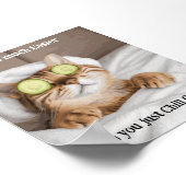 Motivational Funy Inspirational Cat Poster (Coin)