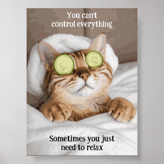 Motivational Funy Inspirational Cat Poster (Devant)