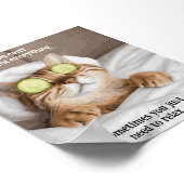 Motivational Funy Inspirational Cat Poster (Coin)