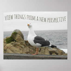 Motiverende Nieuwe Perspectief Meeuw Vogel Spreuk Poster
